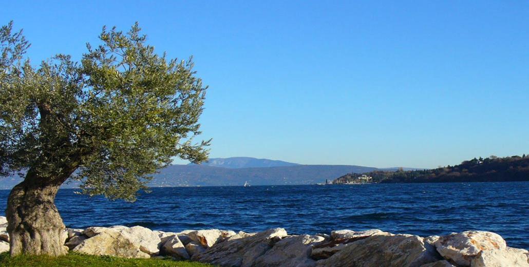 Agriturismo Villa Bissiniga Salò Eksteriør bilde