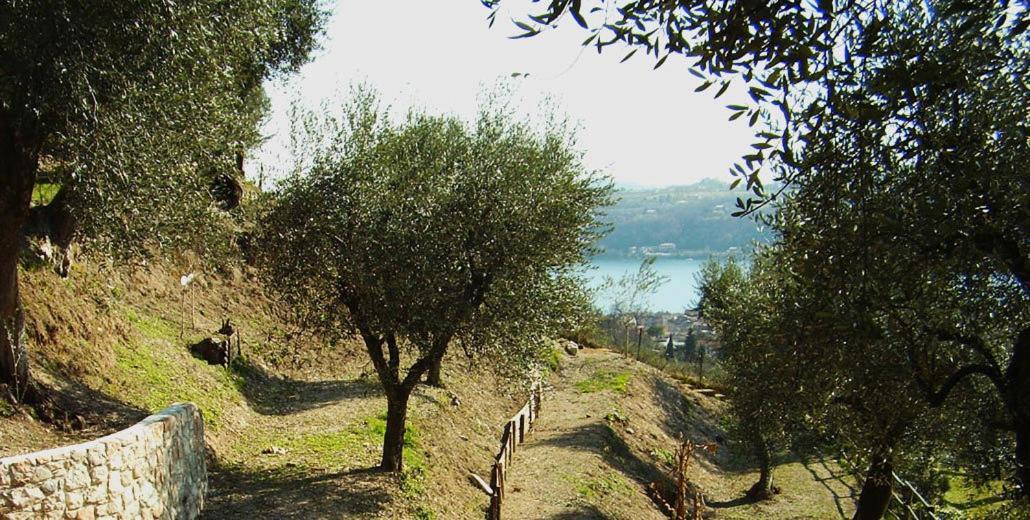 Agriturismo Villa Bissiniga Salò Eksteriør bilde